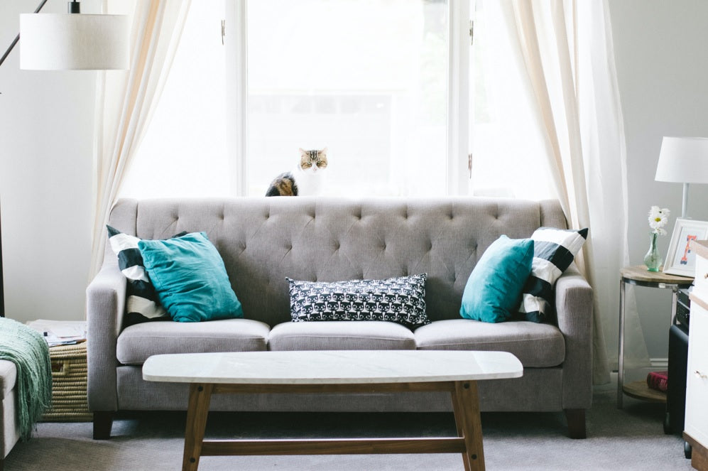 How to clean and maintain your sofa for longevity